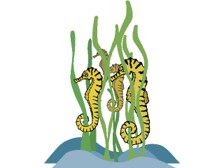 sea horse herd.gif